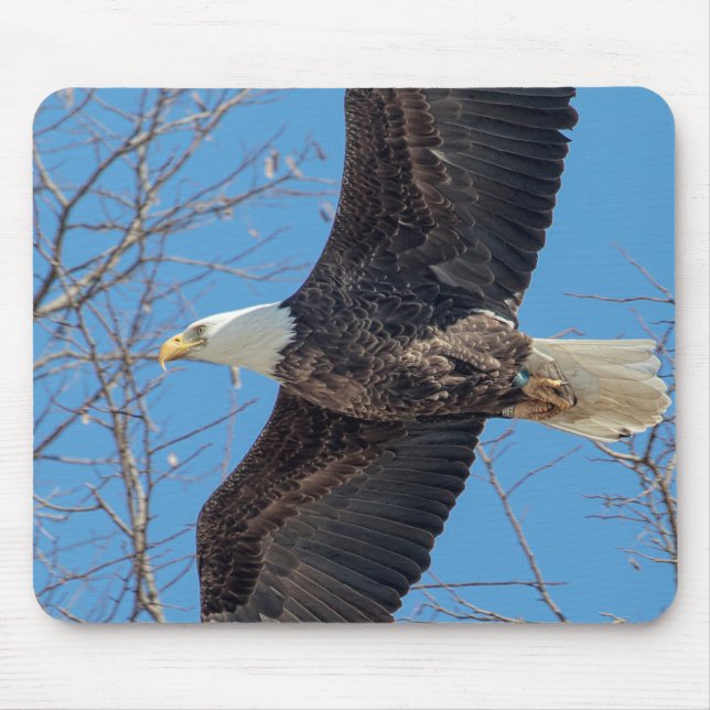 Mousepad Bald Eagle em voo (Frente)