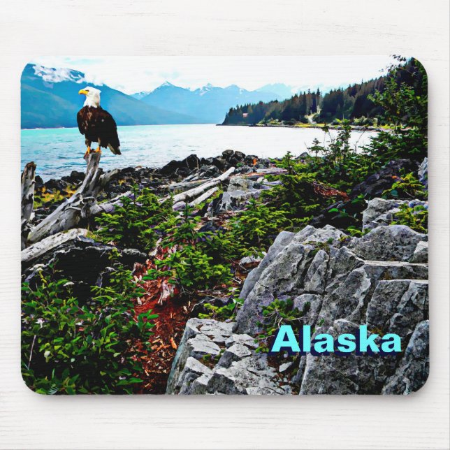 Mousepad Bald Eagle Na Costa Do Alasca (Frente)
