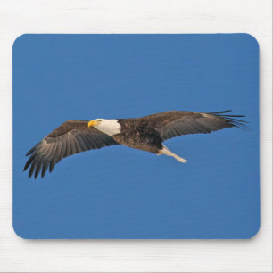 Mousepad Bald Eagle Sky High