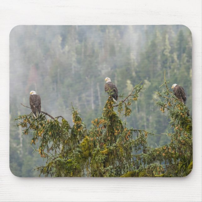 Mousepad Bald Eagles | Floresta Nacional do Alasca em Tonga (Frente)