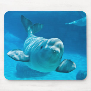 Mousepad Baleia da beluga