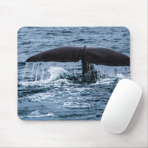 Mousepad Baleia de esperma