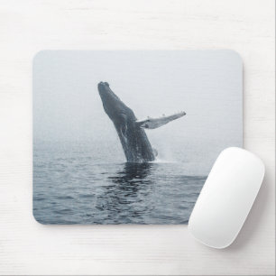 Mousepad Baleia-jubarte