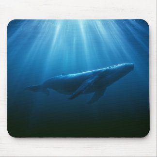 Mousepad Baleia Jubarte Subaquática