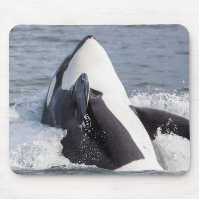 Mousepad Baleia orca saltando fora da água (Frente)