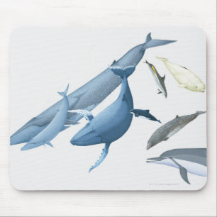 Mousepad Baleias