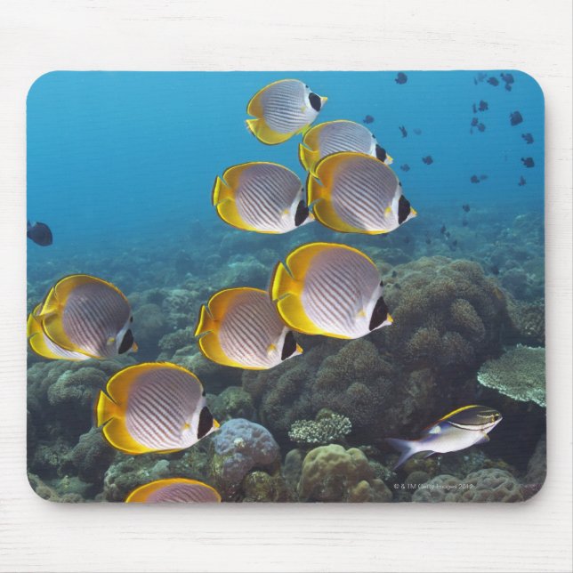 Mousepad Bali, Indonésia (Frente)