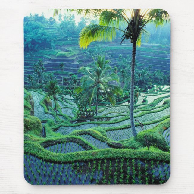 Mousepad Bali | Panorâmica Dos Terraços De Arroz (Frente)