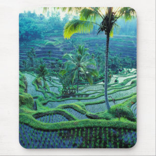 Mousepad Bali Visão Geral das Terracas de Arroz