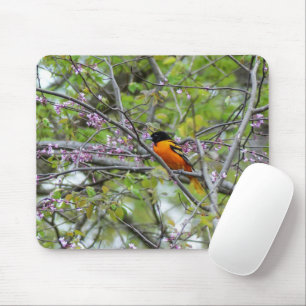 Mousepad Baltimore Oriole