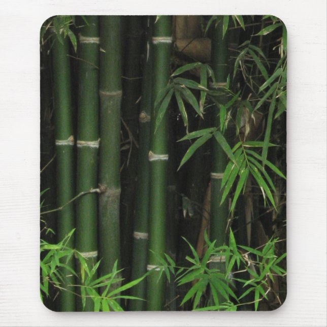 Mousepad Bambu… Fao Rai, Nong Khai, Isaan, Tailândia (Frente)