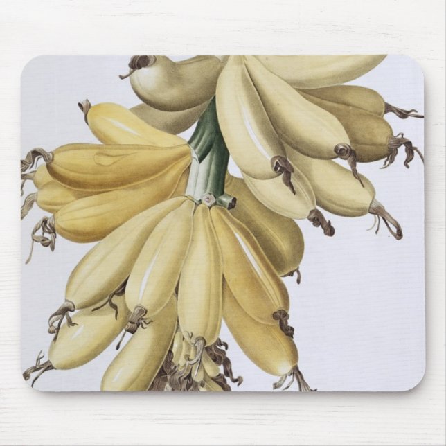Mousepad Banana, 1816 (Frente)