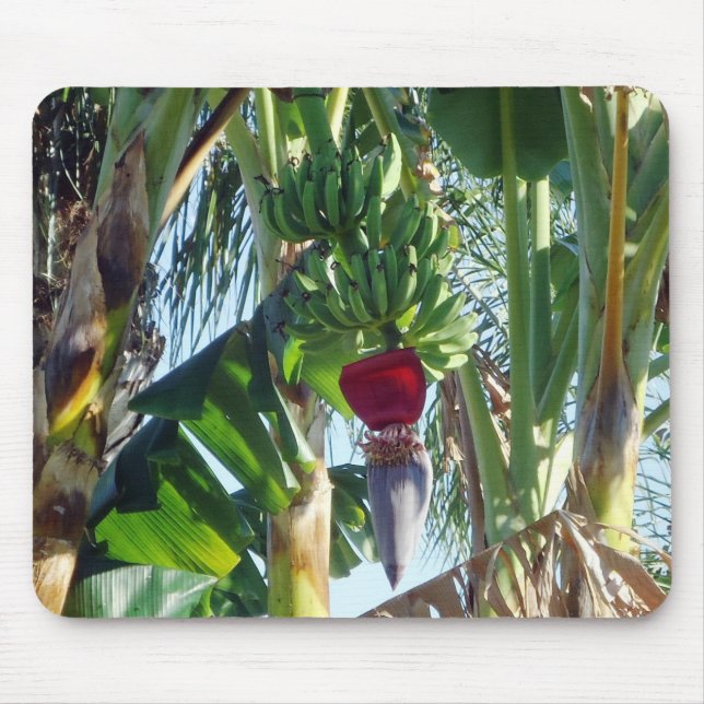 Mousepad Bananas novas (Frente)