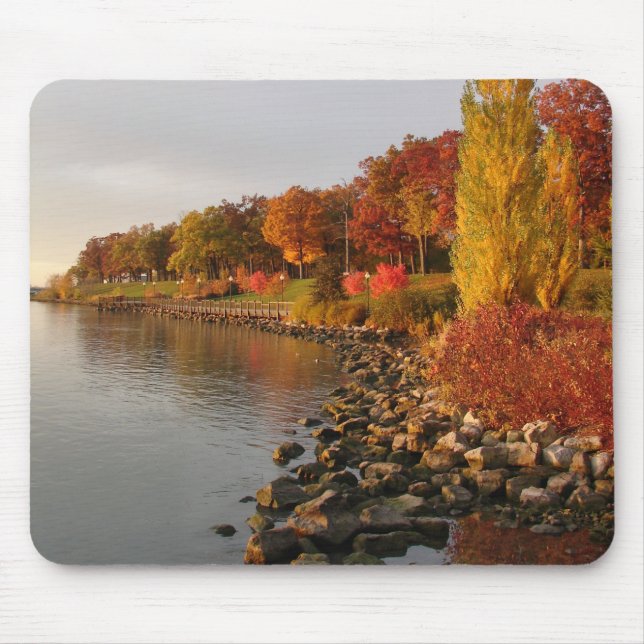 Mousepad banco de Fall River (Frente)