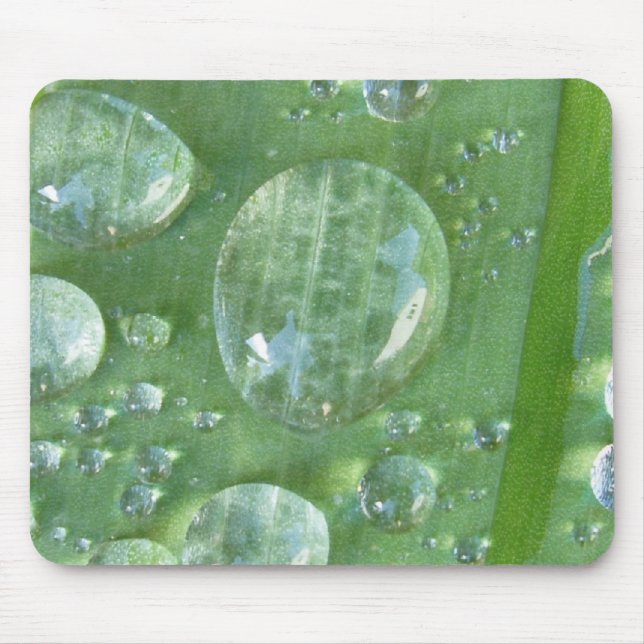 Mousepad Banda d'água fabulosa (Frente)