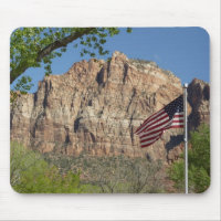 Bandeira Americana no Zion National Park I