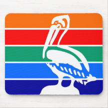 Bandeira da Cidade de St. Petersburg (Flórida)