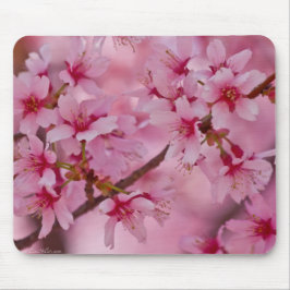 Mousepad Banho de cereja rosa japonês