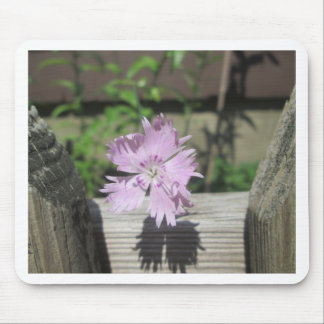 Mousepad Banhos Rosa Dianthus na Cerca