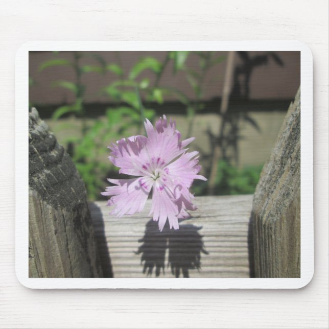Mousepad Banhos Rosa Dianthus na Cerca (Frente)