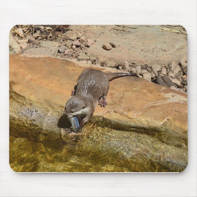 Mousepad **"Banquete Pondside: Uma Porta e Sua Captura"** (Frente)