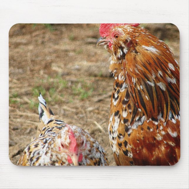 Mousepad Bantam Hen e Rooster (Frente)