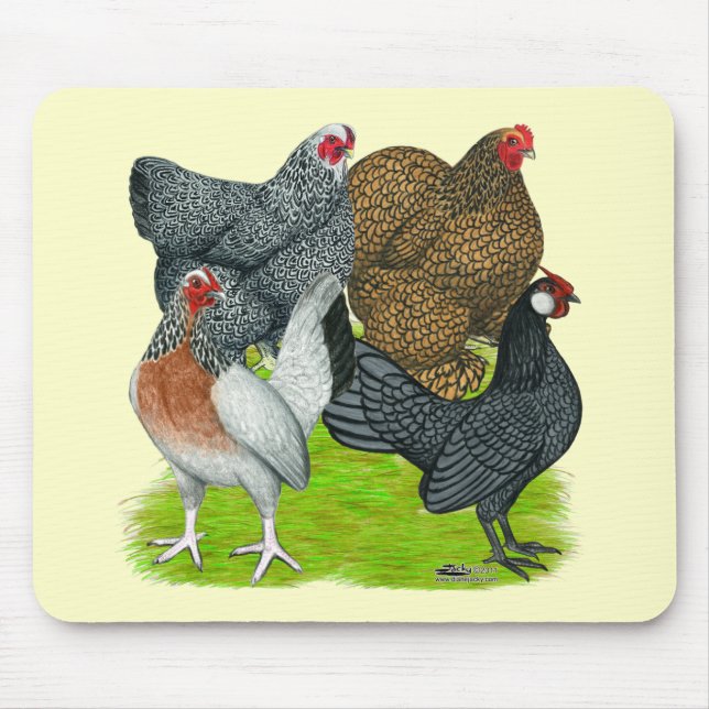 Mousepad Bantam Hen Quartet (Frente)