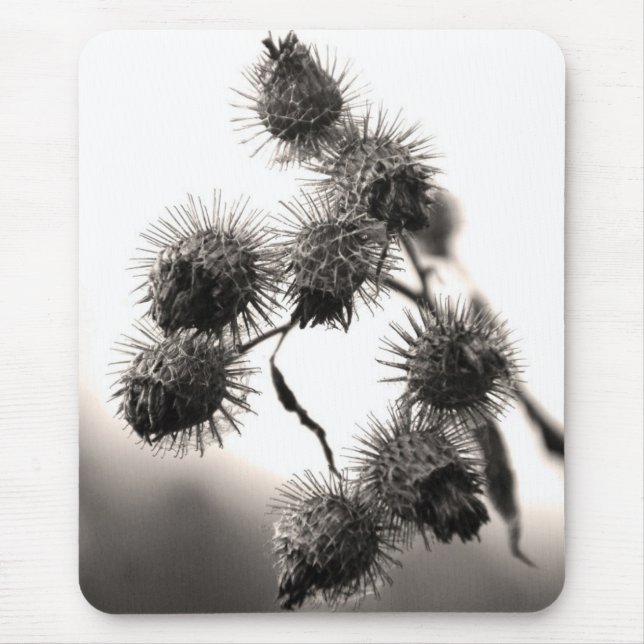 Mousepad Bardana seca (Frente)
