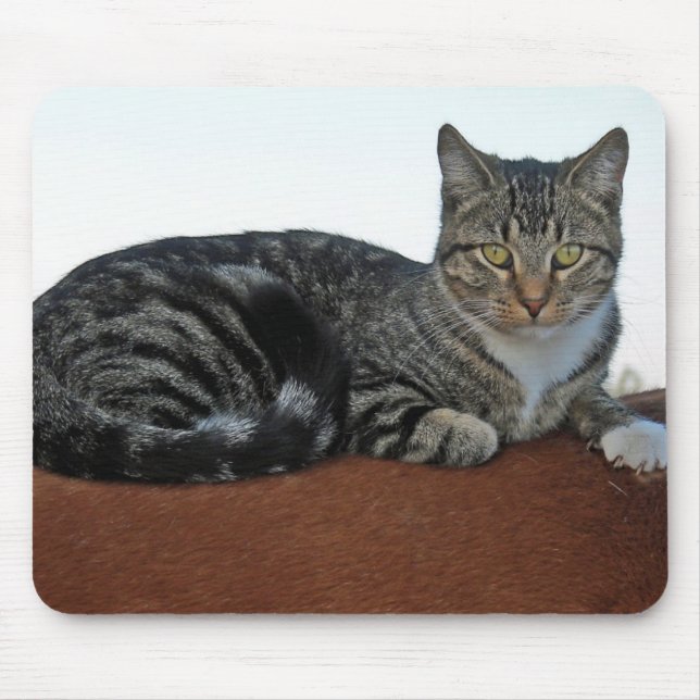 Mousepad Barn Cat em Dunnit (Frente)