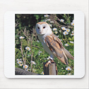 Mousepad Barn Owl