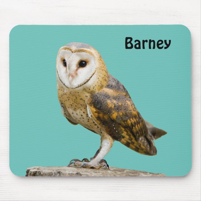 Mousepad Barn Owl (Frente)