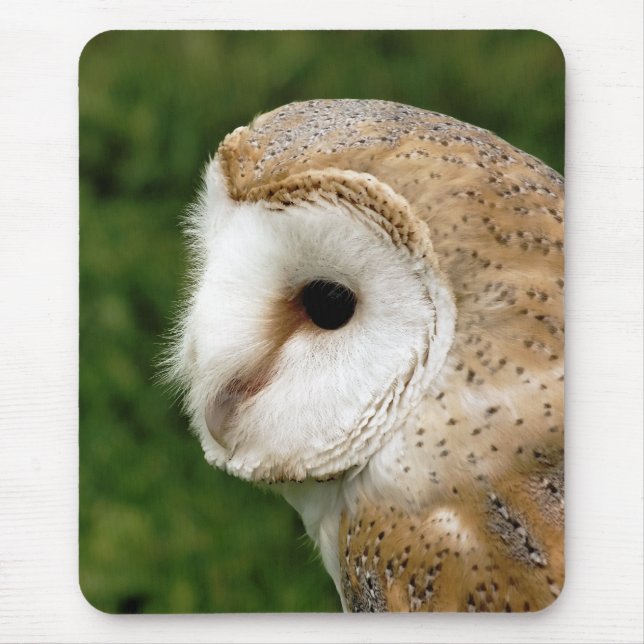 MOUSEPAD BARN OWLS (Frente)