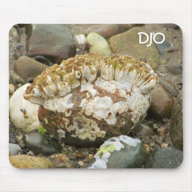 Mousepad Barnacle Mohawk Beach Rock (Frente)