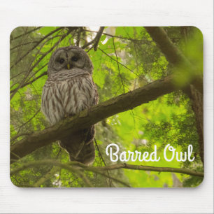 Mousepad Barred Owl