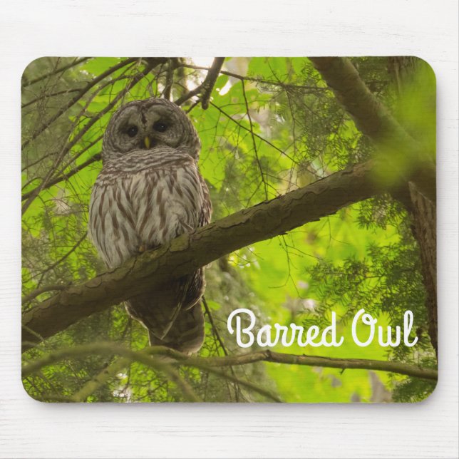 Mousepad Barred Owl (Frente)