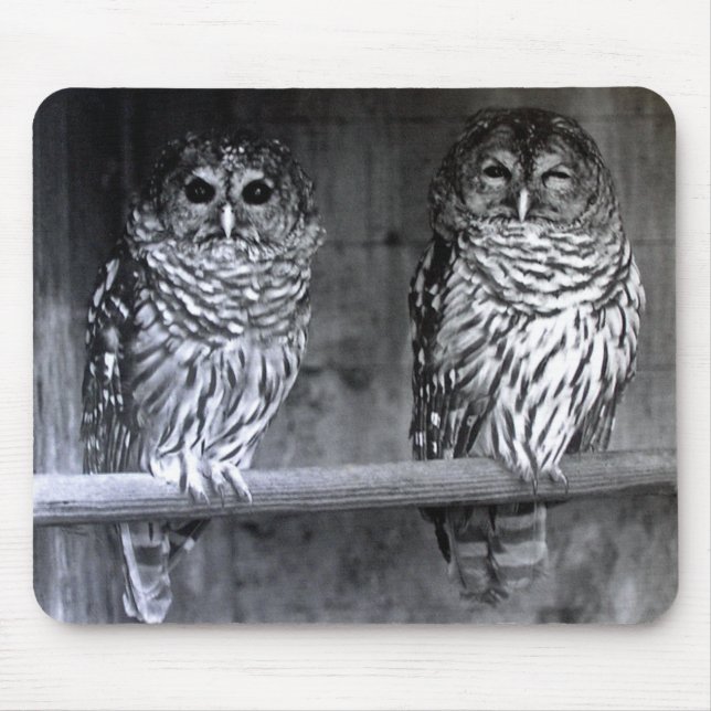 Mousepad Barred Owls (Frente)