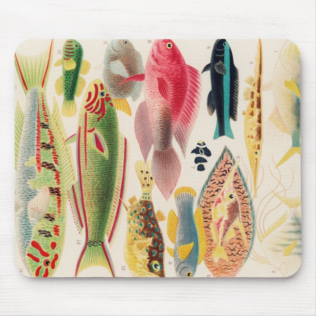 Mousepad Barreira de excelentes - Recifes - Pesca Austrália (Frente)