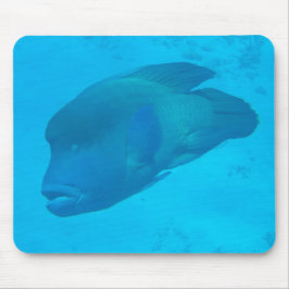 Mousepad Barreira excelente Recife Napoleão Peixe Em Fragme