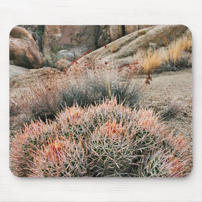 Mousepad Barrel Cactus, Califórnia (Frente)