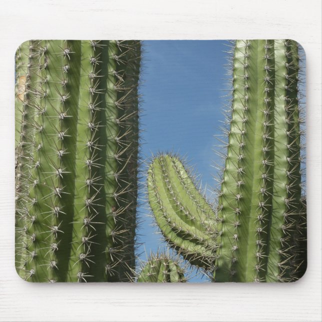 Mousepad Barrel Cactus I Desert Photo (Frente)