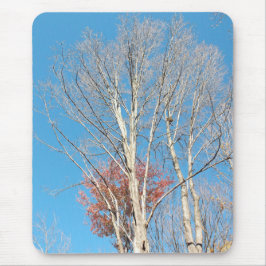 Mousepad Barren Trees