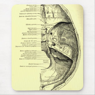 Mousepad Base da anatomia do vintage da superfície