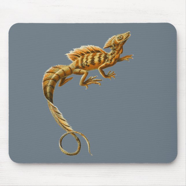 Mousepad Basilisk comum (Frente)