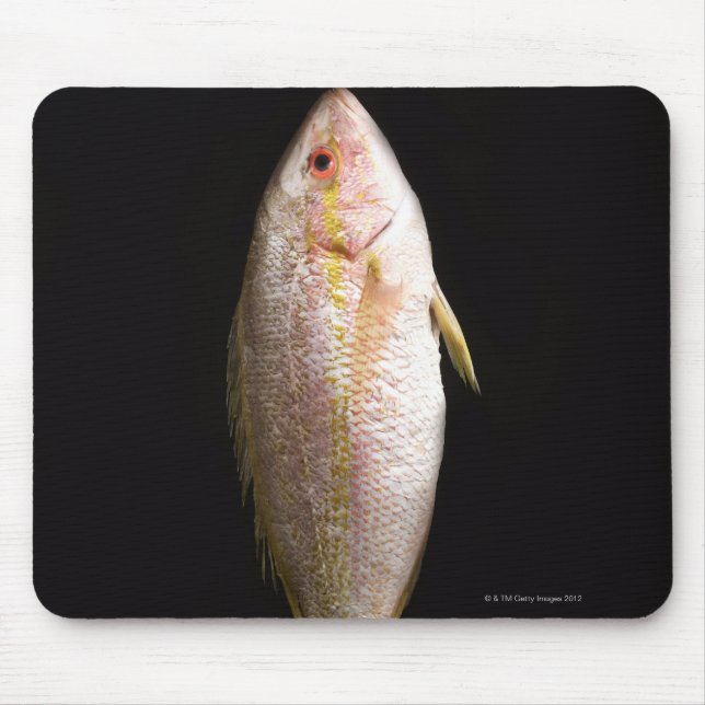 Mousepad Bass do Mar Inteiro (Frente)
