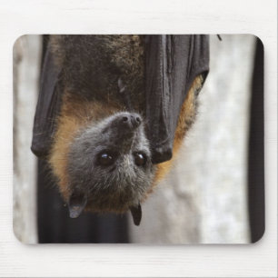 Mousepad Bastão australiano