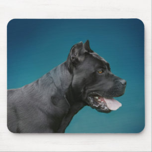 Mousepad Bastão Corso - Mastiff italiano