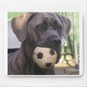Mousepad bastão corso.png