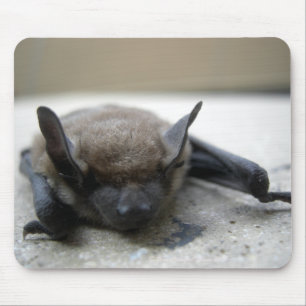 Mousepad Bastão marrom pequeno (lucifugus do Myotis)
