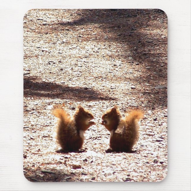 Mousepad Bate-papo no parque (Frente)