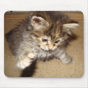 Mousepad Batedura do gatinho no rato